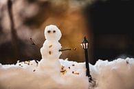 de kleine sneeuwpop van Tania Perneel thumbnail