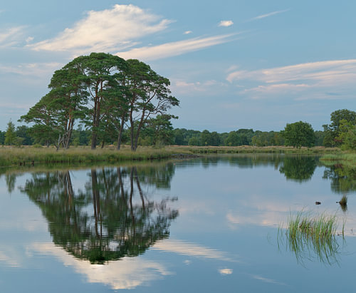 Sunset at Dwingelderveld – Drenthe (Netherlands) by Marcel Kerdijk