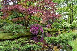 Japanse tuin by Chayenne Batenburg-Boom