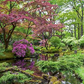 Japanse tuin van Chayenne Batenburg-Boom