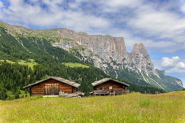 Alpe di Siusi, Dolomites by Dirk Rüter