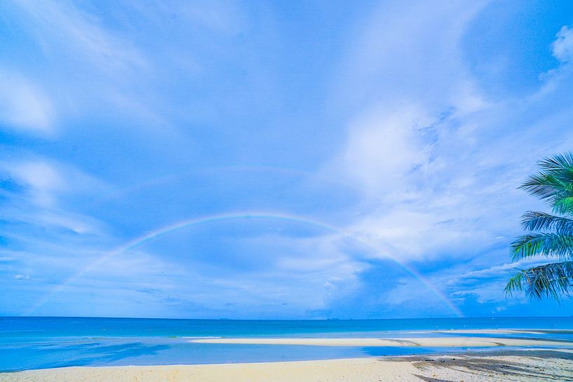 Rainbows in paradise by Barbara Riedel