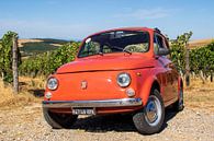 Fiat 500 in vineyard (2) by Jolanda van Eek en Ron de Jong thumbnail