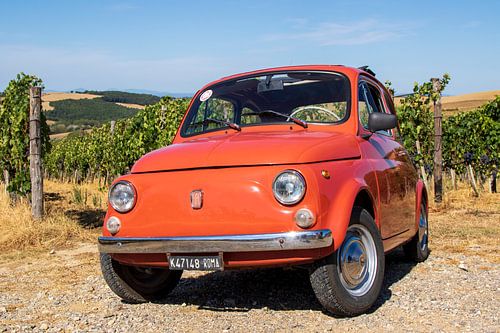 Fiat 500 in wijngaard (2)
