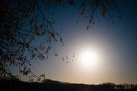 Die Wintersonne 2