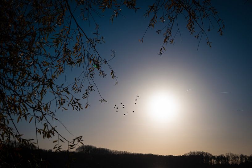 Die Wintersonne 2 von GyGa foto's