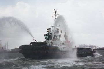 Le remorqueur VB Mars en action dans le port de Rotterdam sur scheepskijkerhavenfotografie