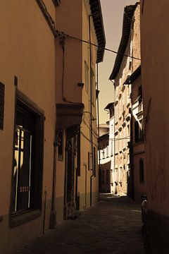 Tuscany Italy Lucca Downtown Old