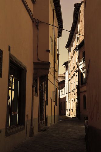 Toscane Italie Lucca Centre-ville Vieux