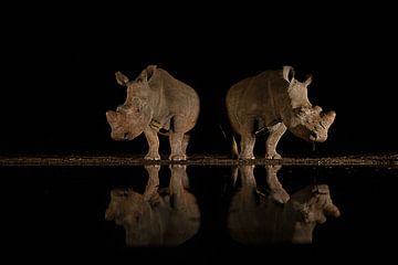 reflectie van Amnon Eichelberg
