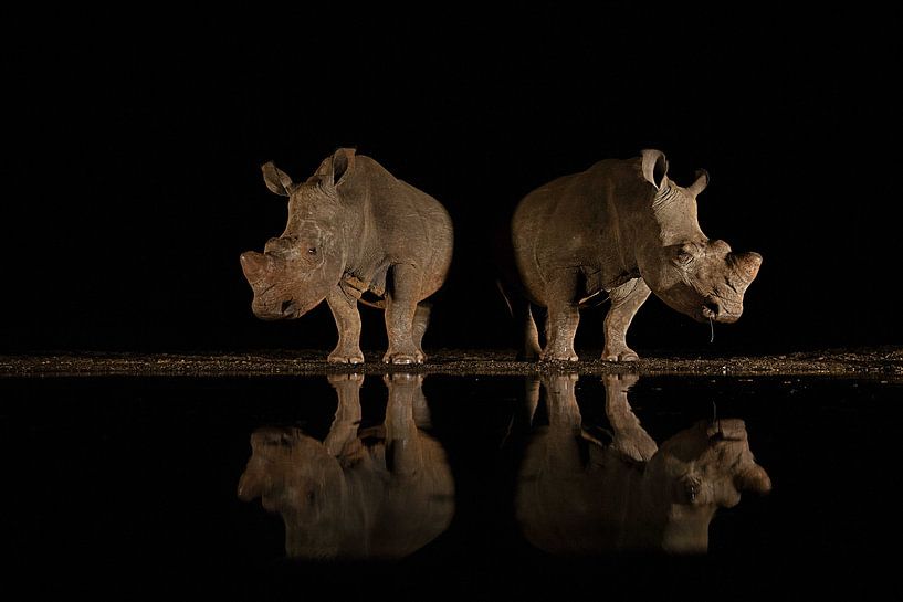 reflectie van Amnon Eichelberg