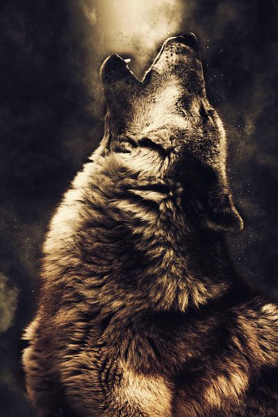 Wolf 2 van Mateo