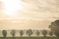 Herbstmorgen über Gorp und Roovert