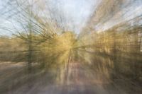 Morgenlicht
