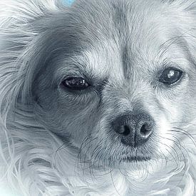 Hond Portret  van Kimberly Galjaard