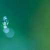 Just one drop ( macro shot of 1 drop) by Birgitte Bergman