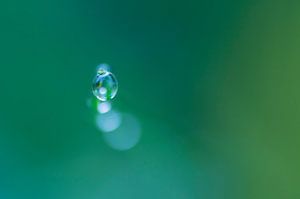 Juste une goutte (photo macro d'une goutte)