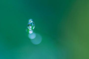Just one drop ( macrofoto van 1 druppel)