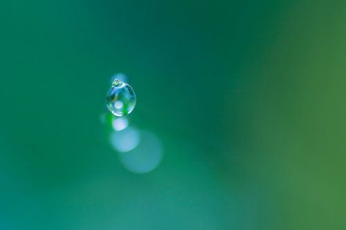 Nur ein Tropfen (Makroaufnahme von 1 Tropfen) von Birgitte Bergman