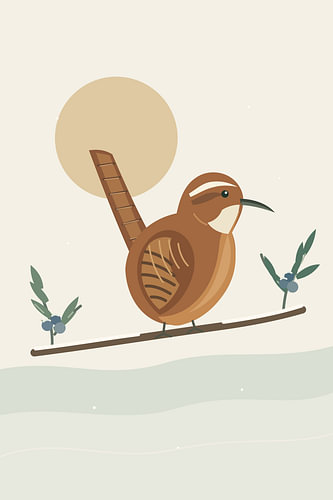 Carolina Wren — Juniper Morning