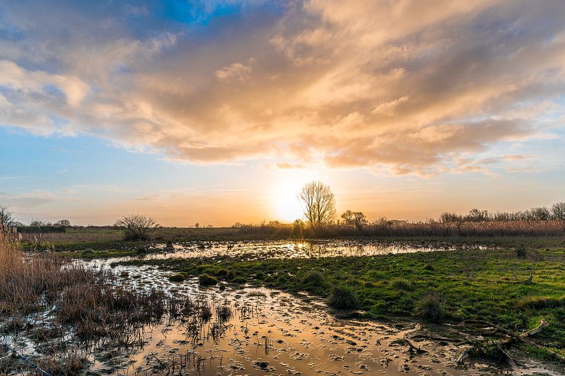 Van de Meijer Island by Peter Deschepper