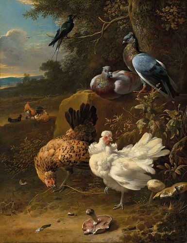 Kippen en duiven in een landschap, Melchior d'Hondecoeter