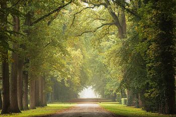 Oktober-Allee