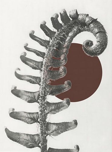 ZEN Something old, something new