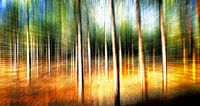 Abstracte bomenlandschap