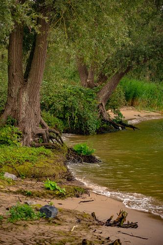 Sprookjesachting strandje aan de Beneden-Merwede in Dordrecht