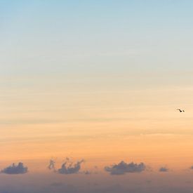 Vogel bei Sonnenaufgang von Xulé Bogers