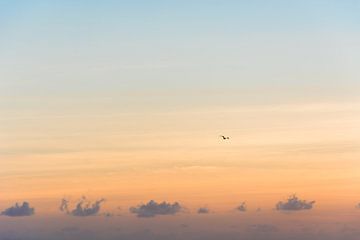 Vogel bij zonsopkomst van Xulé Bogers