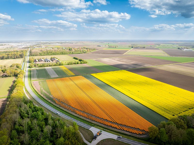 Felder von goldenem Ruhm von Nederlandschap