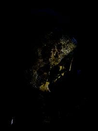 IMAGES von Ted van den Aarssen