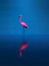 Flamingo van PixelPrestige thumbnail