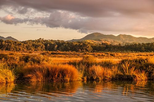 Ongerepte kustlijn in Cormandel, Nieuw Zeeland