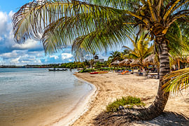 Palmenstrand an der Costa Maya