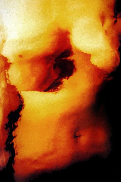 Body &amp; Mind I by Jacomijn Dijkers