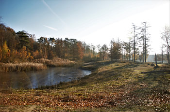 Herfstlandschap in de Zon