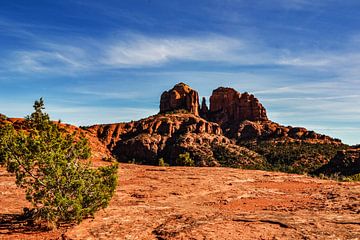 Red Rocks van Walljar