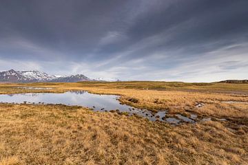 grass landscape in Iceland by gaps photography