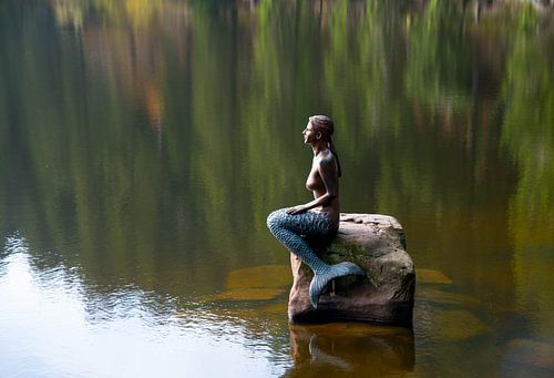 Zeemeermin in het meer