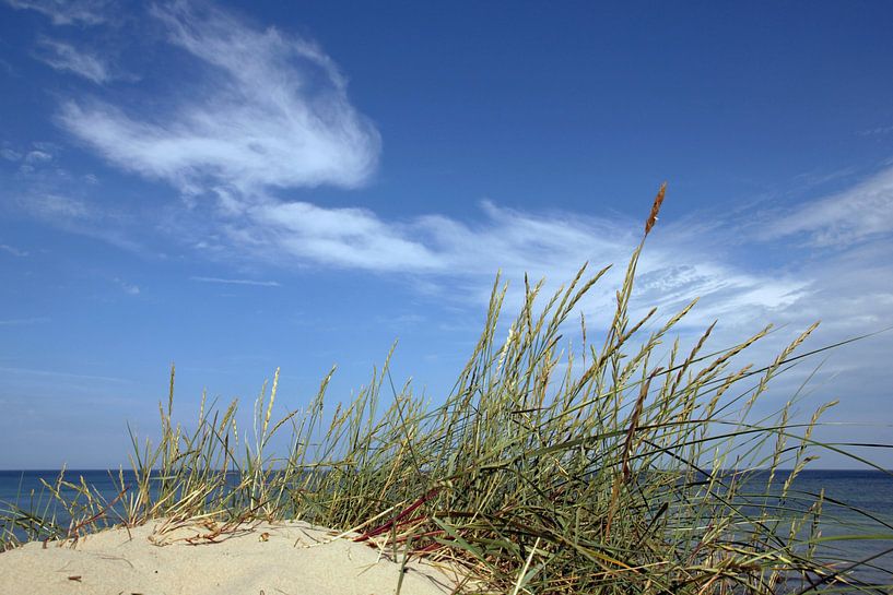 Baltic Sea dune by Ostsee Bilder