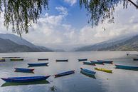 Boats and mountains at the Phewa lake in Pokhara van Marc Venema thumbnail
