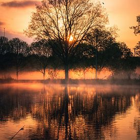 Sunrise with fog at the Amstel River by Dylan Shu