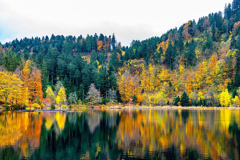 Autumn in the Black Forest by Hans-Bernd Lichtblau