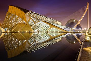 Valencia  by Peter Verheijen