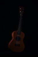 Ukelele in low light