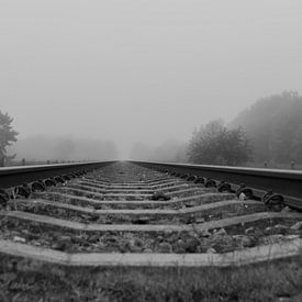 Railway in the forest by Mitchel van Doorn