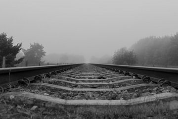 Eisenbahn im Wald von Mitchel van Doorn